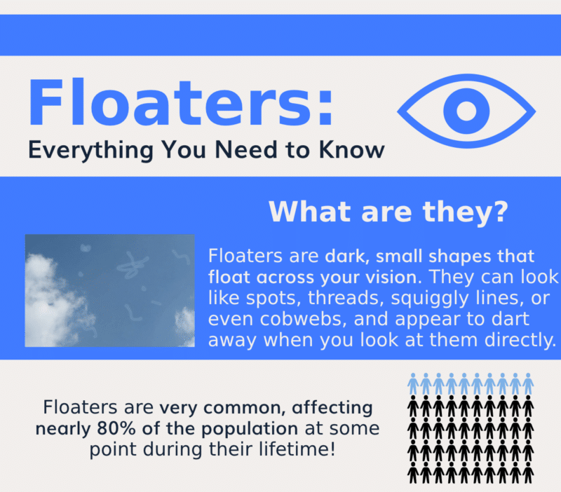Florida Pre-Med Scholarship| Floaters: Everything You Need to Know